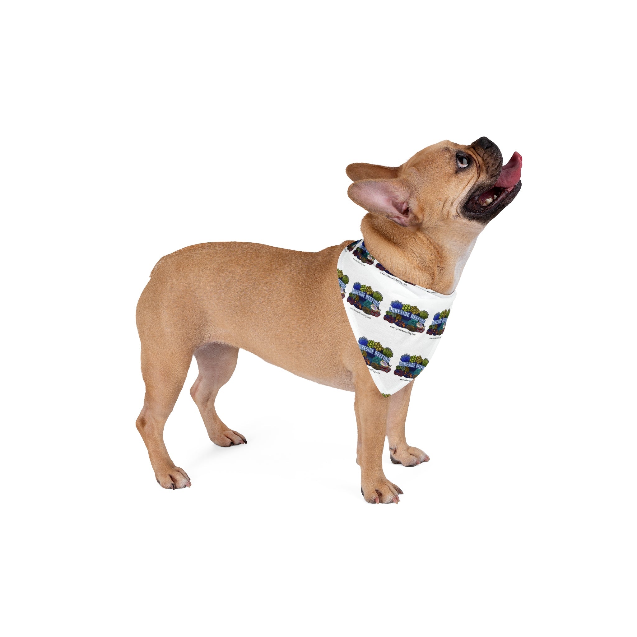 Printify Lakeside Reefing Pet Bandana Pets