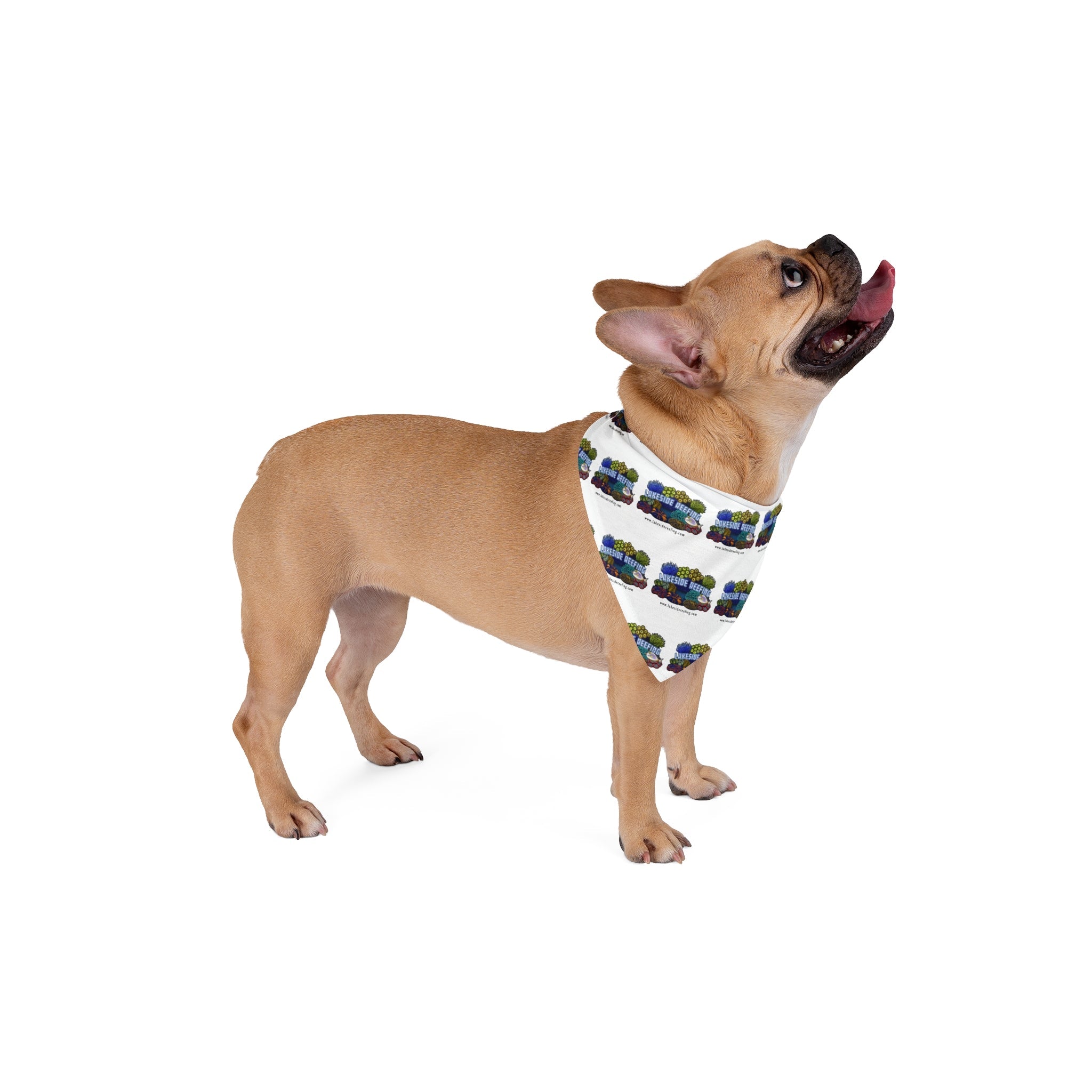 Printify Lakeside Reefing Pet Bandana Pets