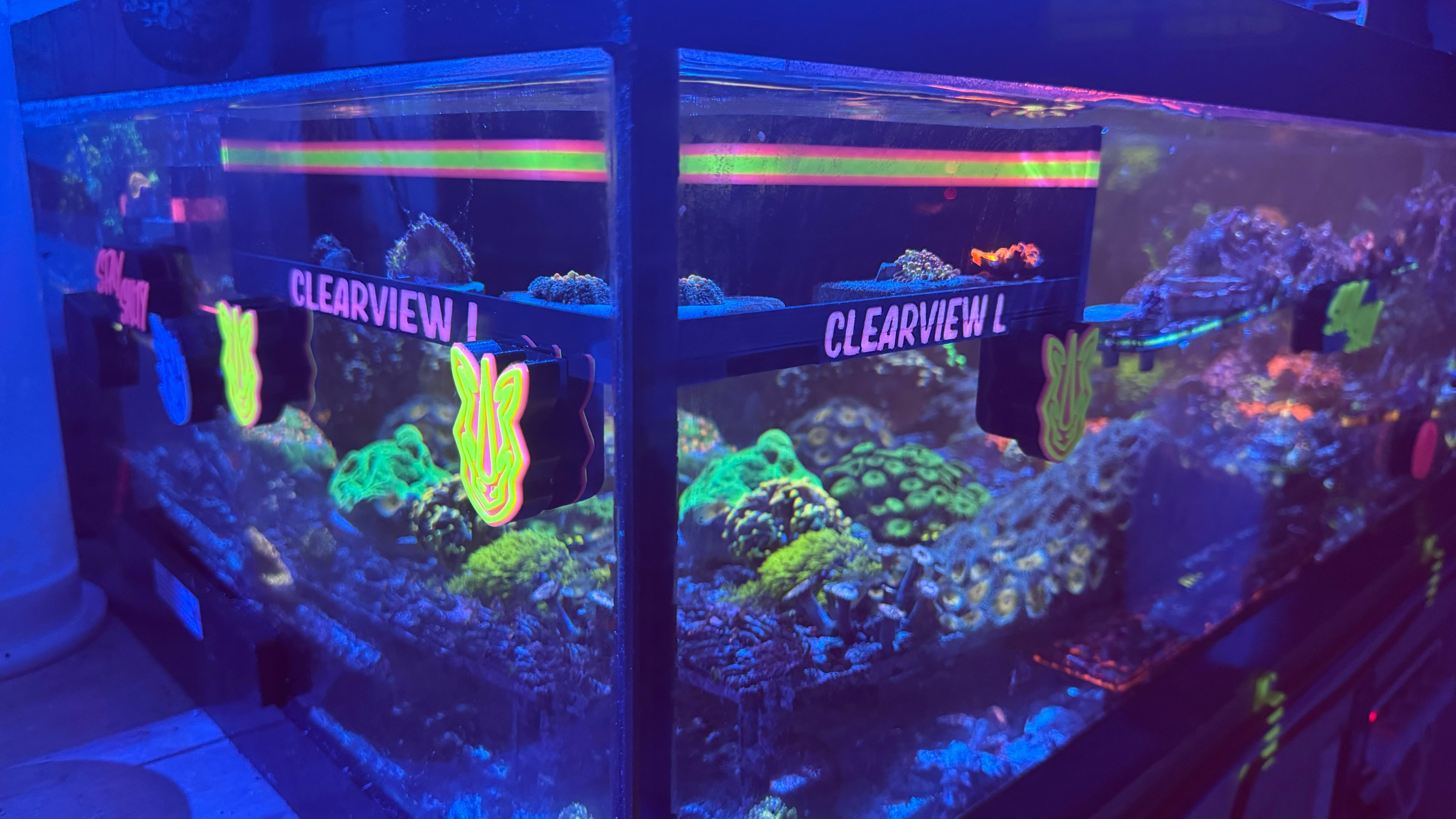 Rhino's Reef ClearView L – Rhino’s Reef Premium 3D-Printed Reef Accessory SHROOM BOX