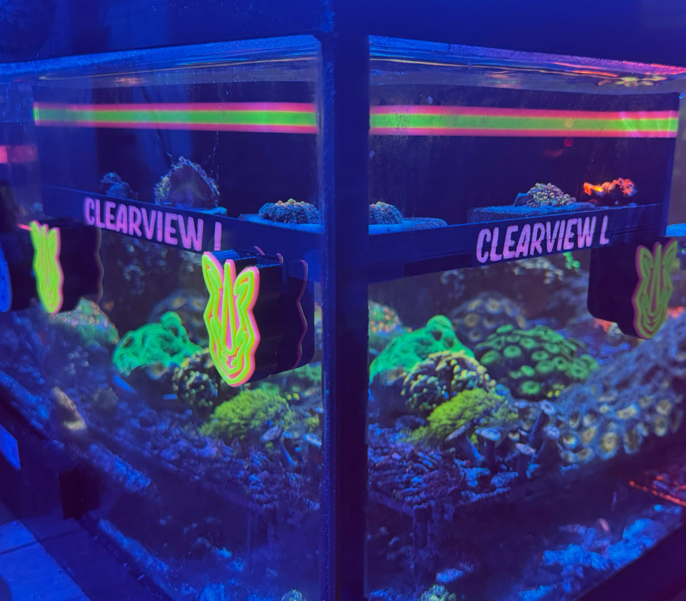 Rhino's Reef ClearView L – Rhino’s Reef Premium 3D-Printed Reef Accessory SHROOM BOX