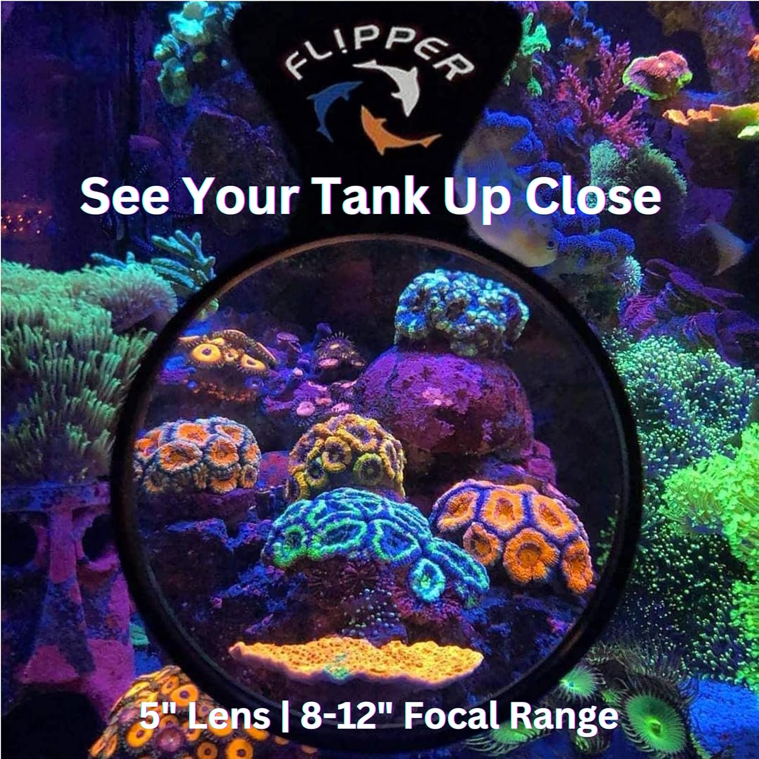 Flipper Aquarium Products DeepSee Viewer Black Max 5" - Orange Filter Aquarium Viewer