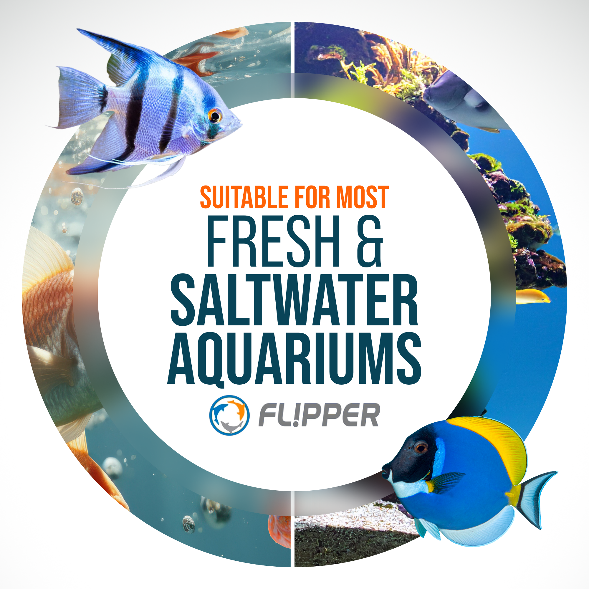 Flipper Aquarium Products Flipper MAX FLOAT 2 in 1 Magnetic Aquarium Algae Cleaner Scrubber