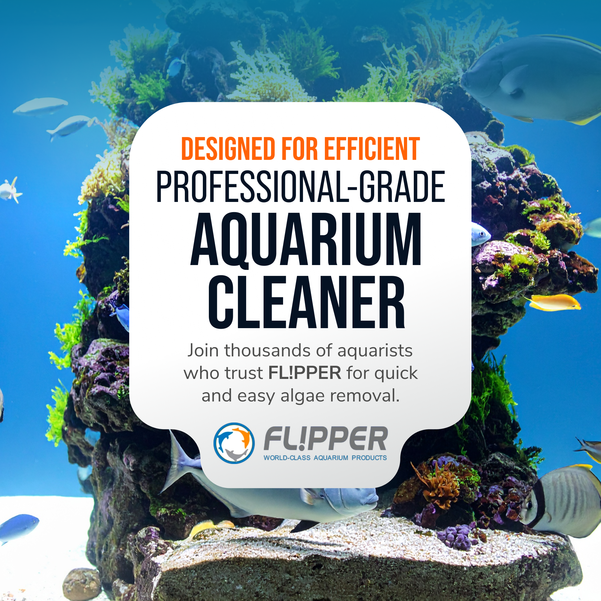 Flipper Aquarium Products Flipper Edge 2 in 1 Floating Magnetic Aquarium Algae Cleaner (MAX) Aquarium Cleaning Supplies