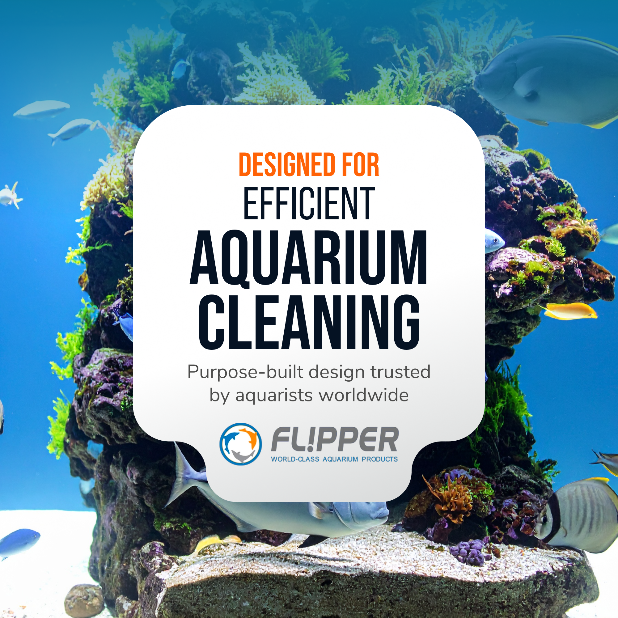 Flipper Aquarium Products Flipper Platinum Aquarium Algae Scraper - 10" Hand Held Scraper