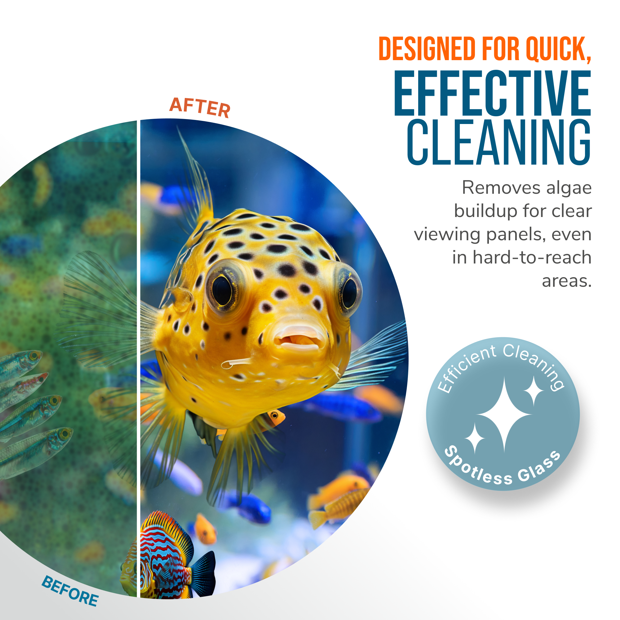 Flipper Aquarium Products Flipper Pico Black 2-in-1 Aquarium Magnet Cleaner Scrubber