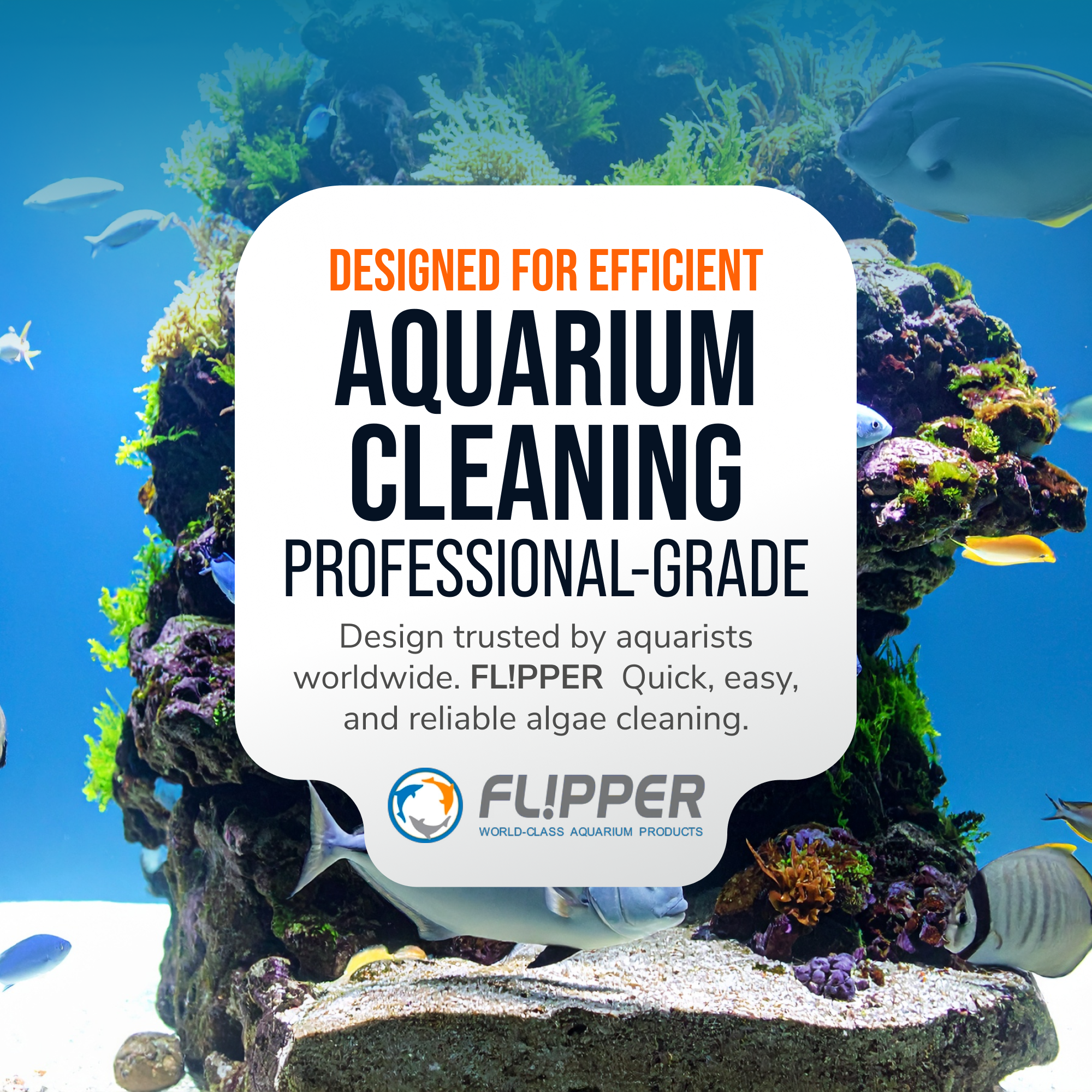 Flipper Aquarium Products Flipper Pico Black 2-in-1 Aquarium Magnet Cleaner Scrubber