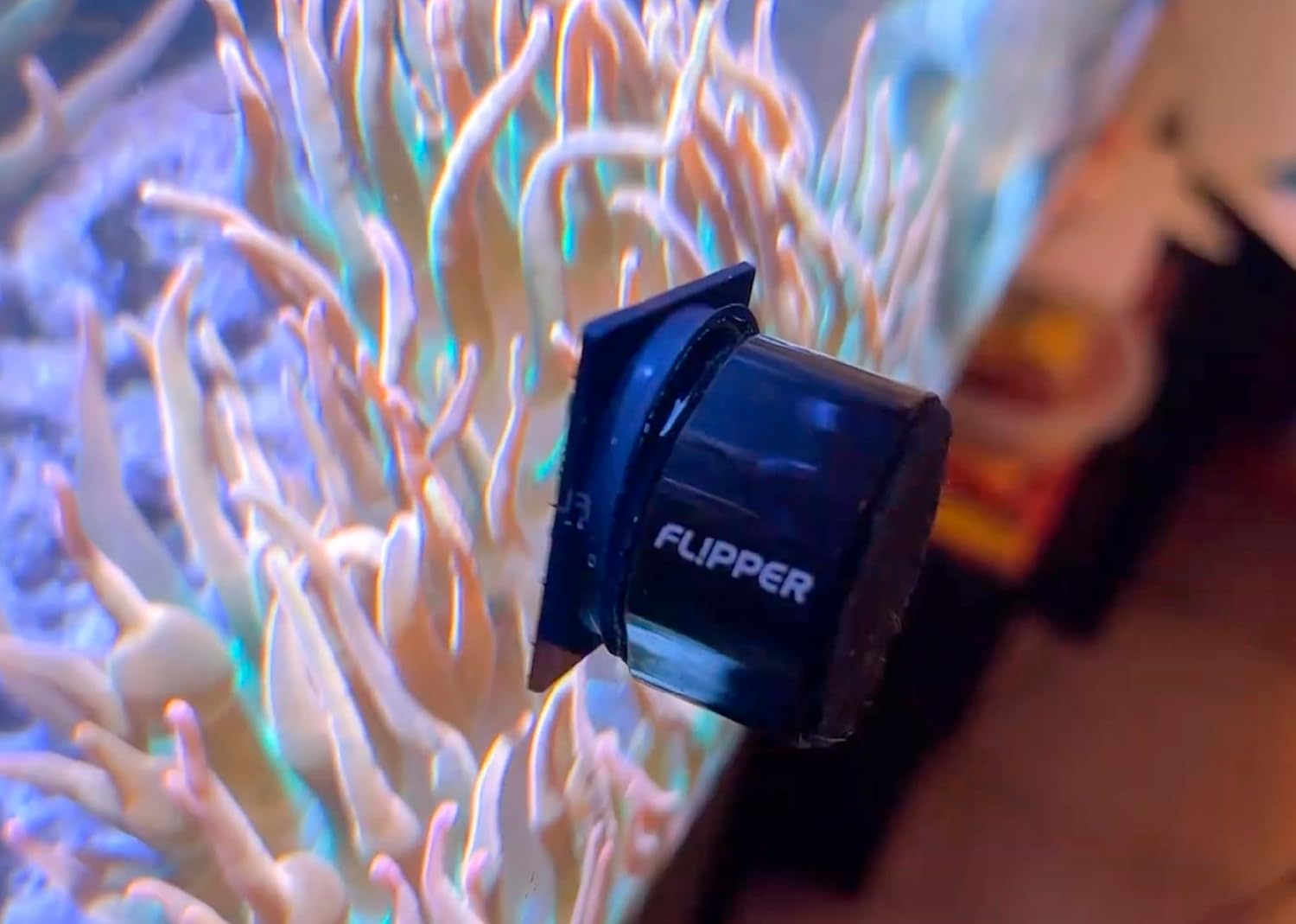 Flipper Aquarium Products Flipper Pico 2 in 1 Aquarium Magnet Cleaner Replacement Blades 4 Pack Replacement Blades