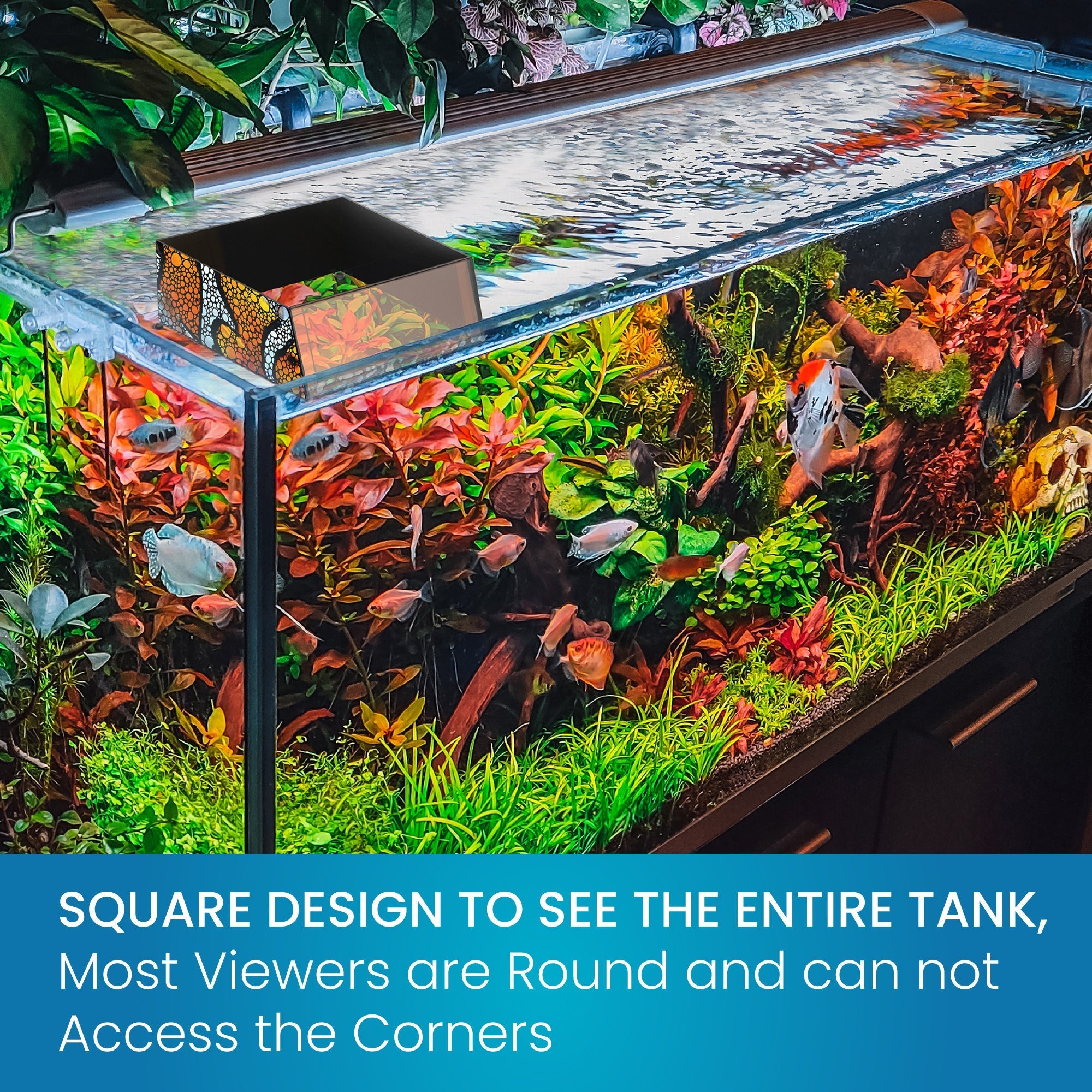 Flipper Aquarium Products Top Down Viewer Clownfish - 8" panel Show