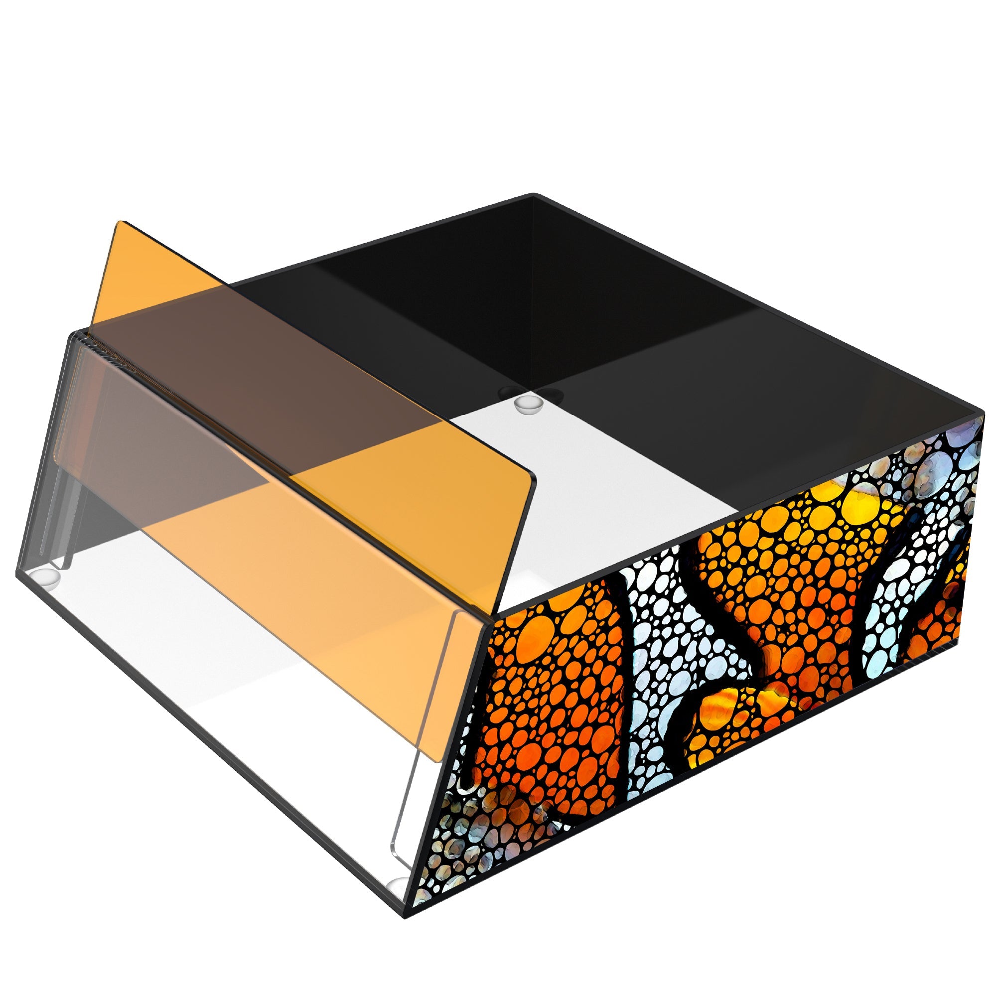 Top Down Viewer Clownfish - 8" panel