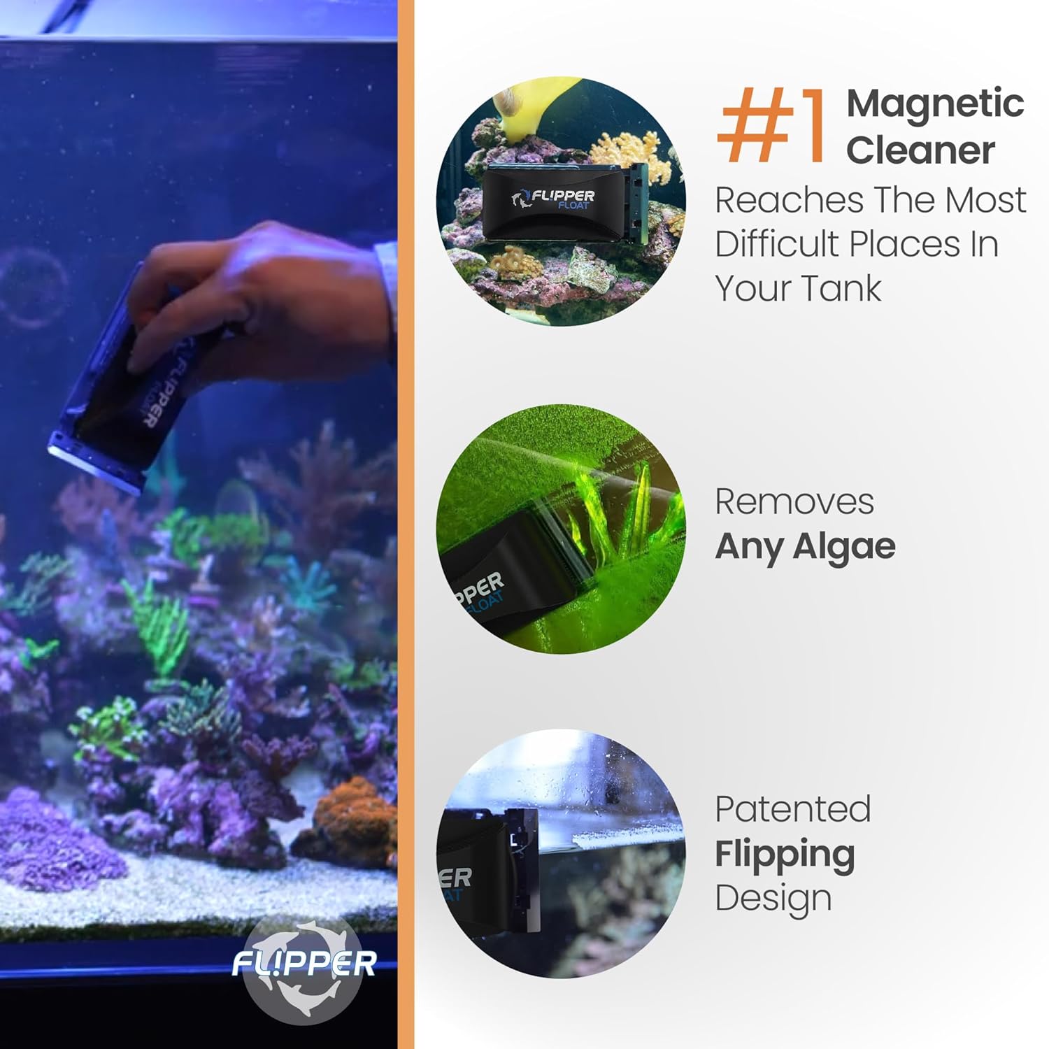 Flipper Aquarium Products Flipper x Cichlid Bros Bundle
