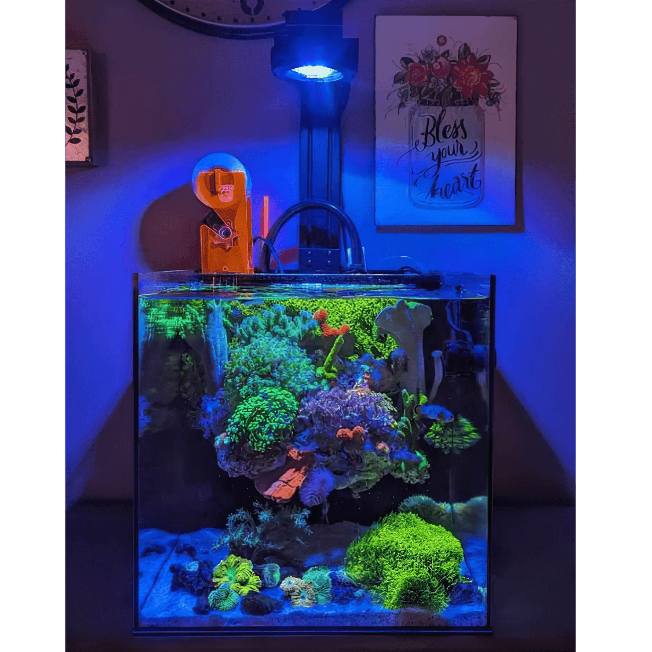 Dalua International LLC Dual Pixel LED Bundle lighting bundle pack