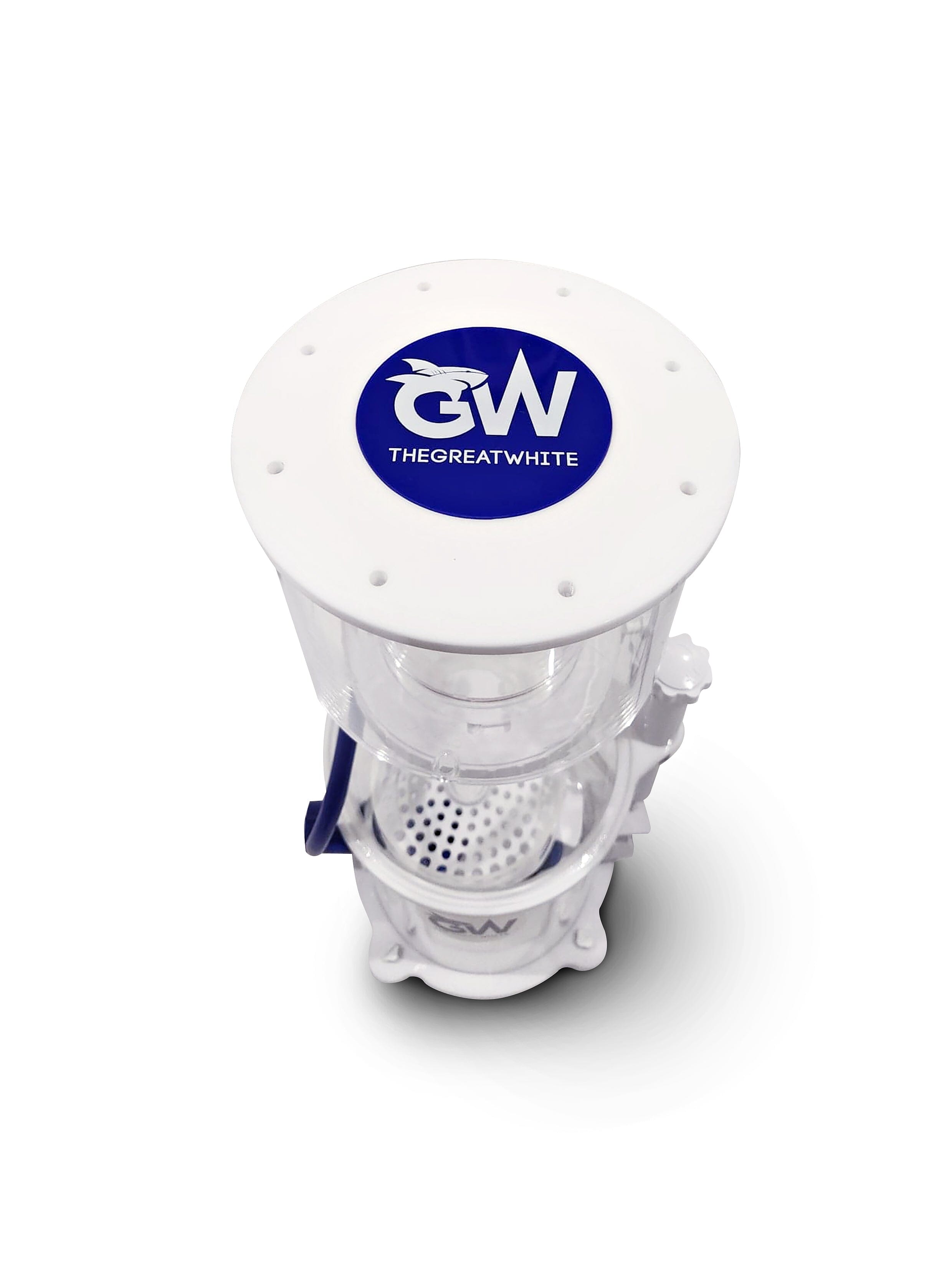 Great White Skimmer DC