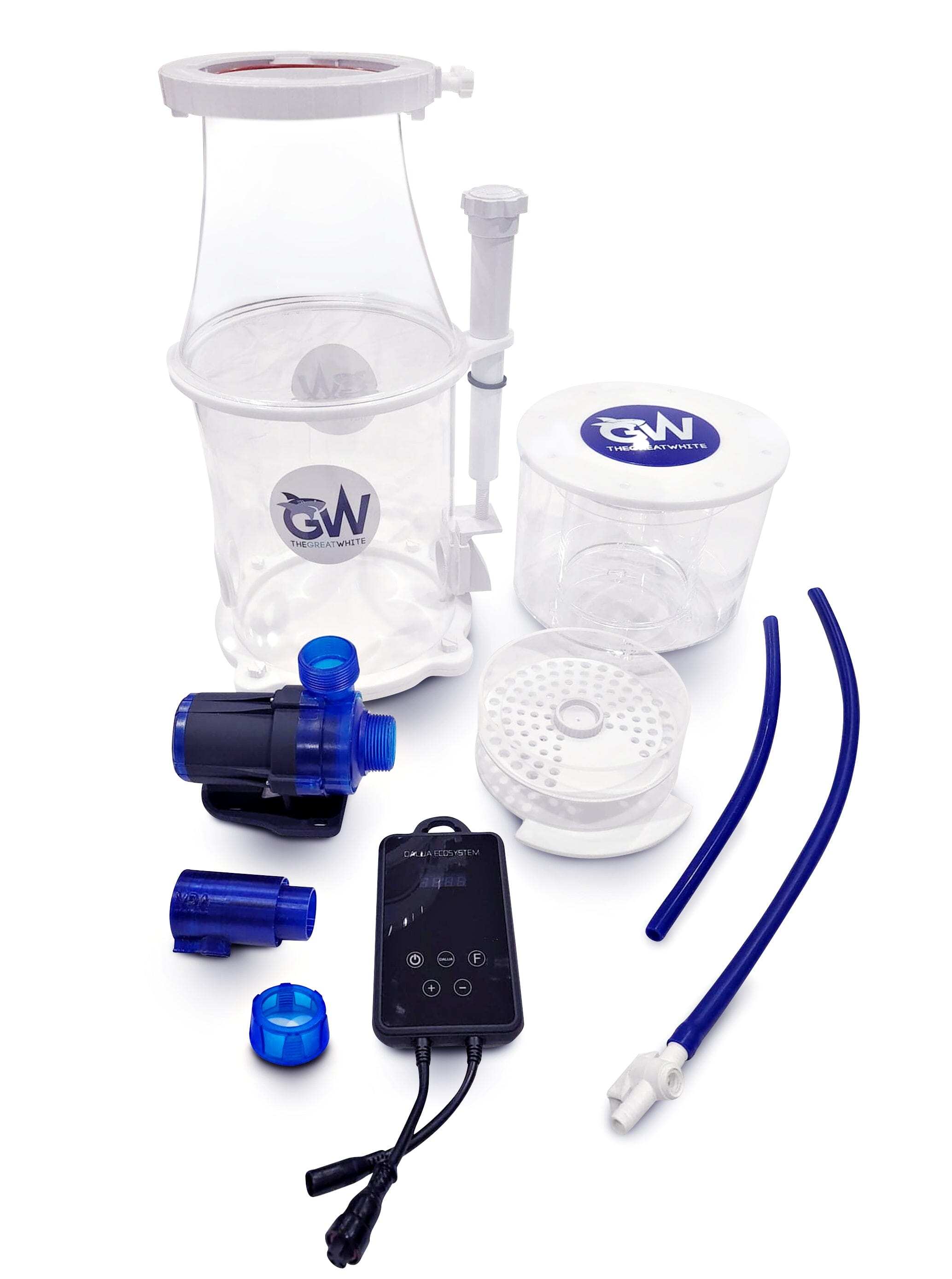 Great White Skimmer DC