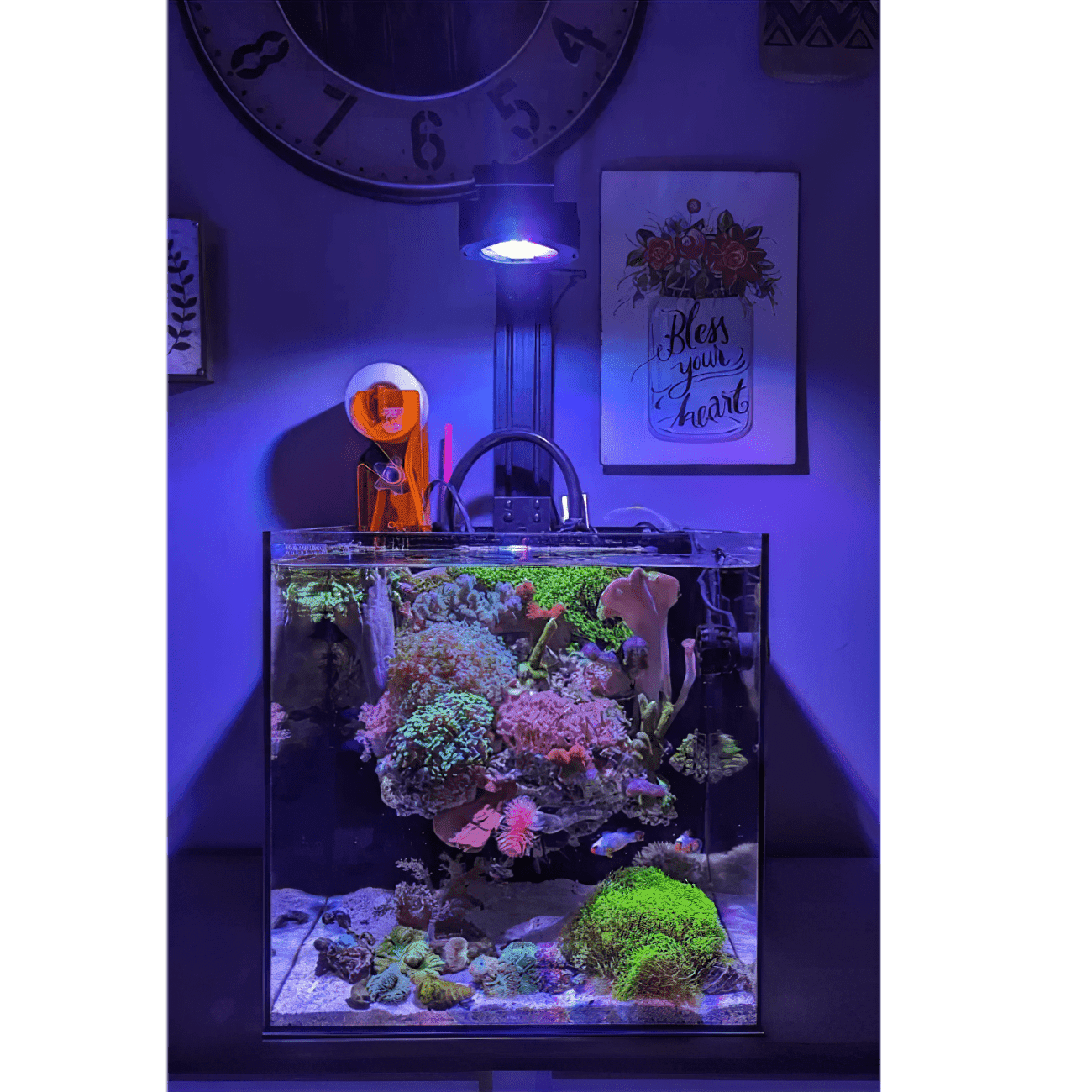Dalua International LLC Pixel LED Bundles All Sizes lighting bundle pack