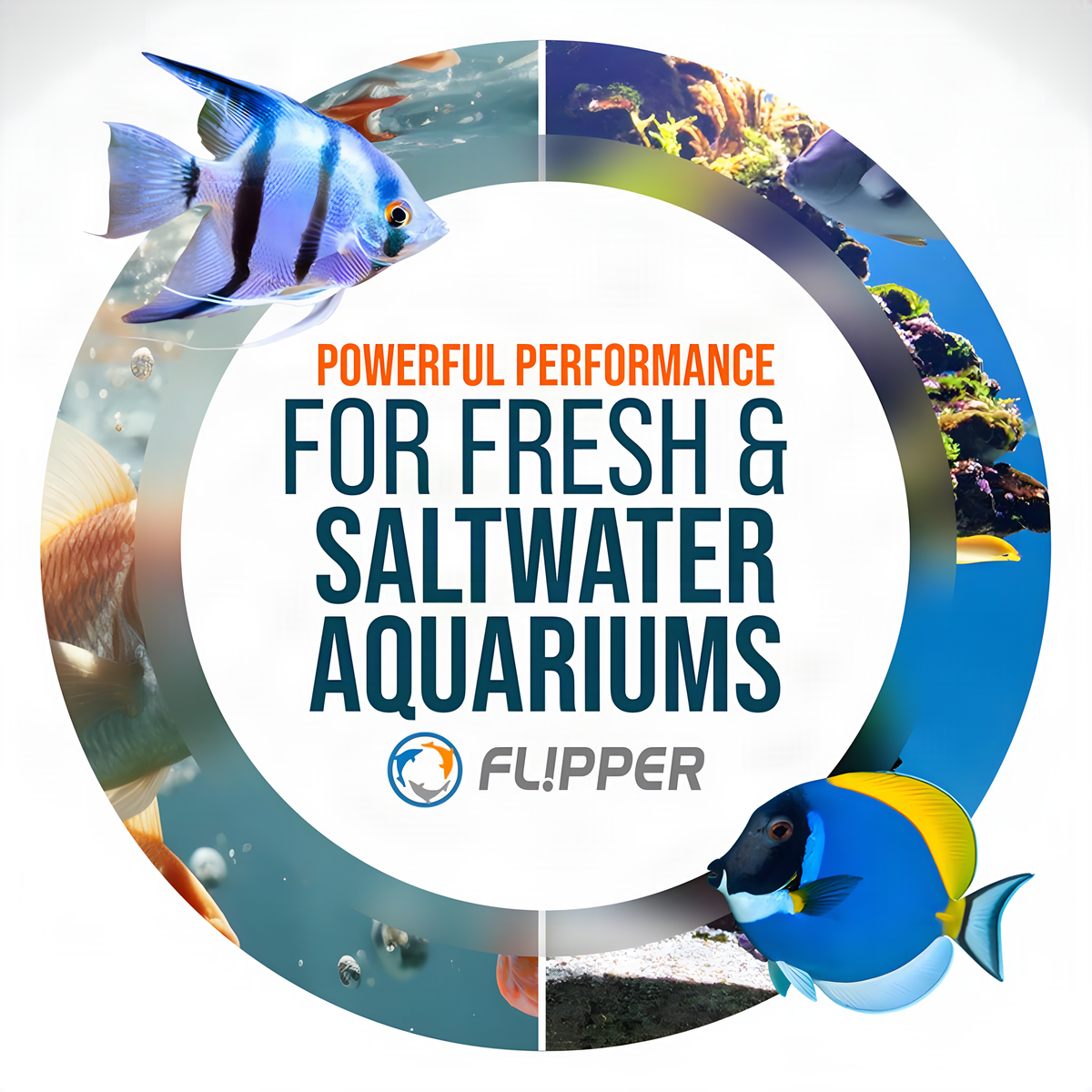 Flipper Aquarium Products Flipper Standard ABS Replacement Blades 3 Pack - Acrylic Tanks Replacement Blades