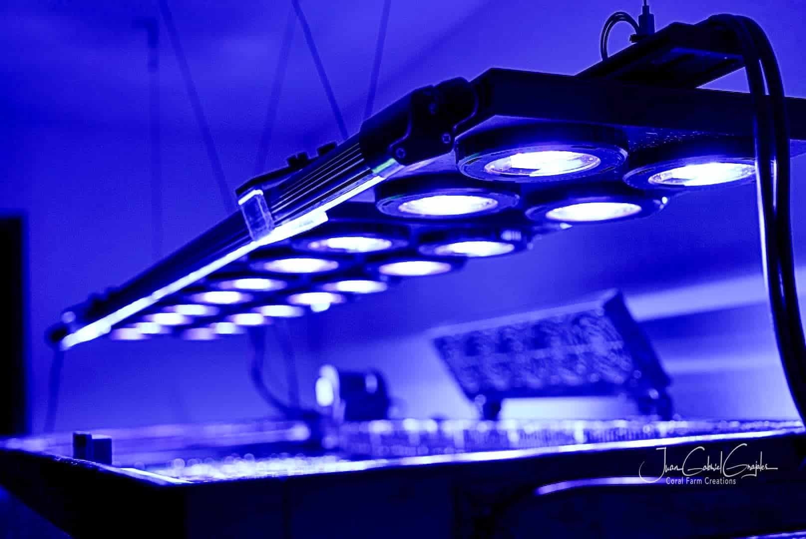 X4 Beast Mode SPS Lighting Bundle All Sizes