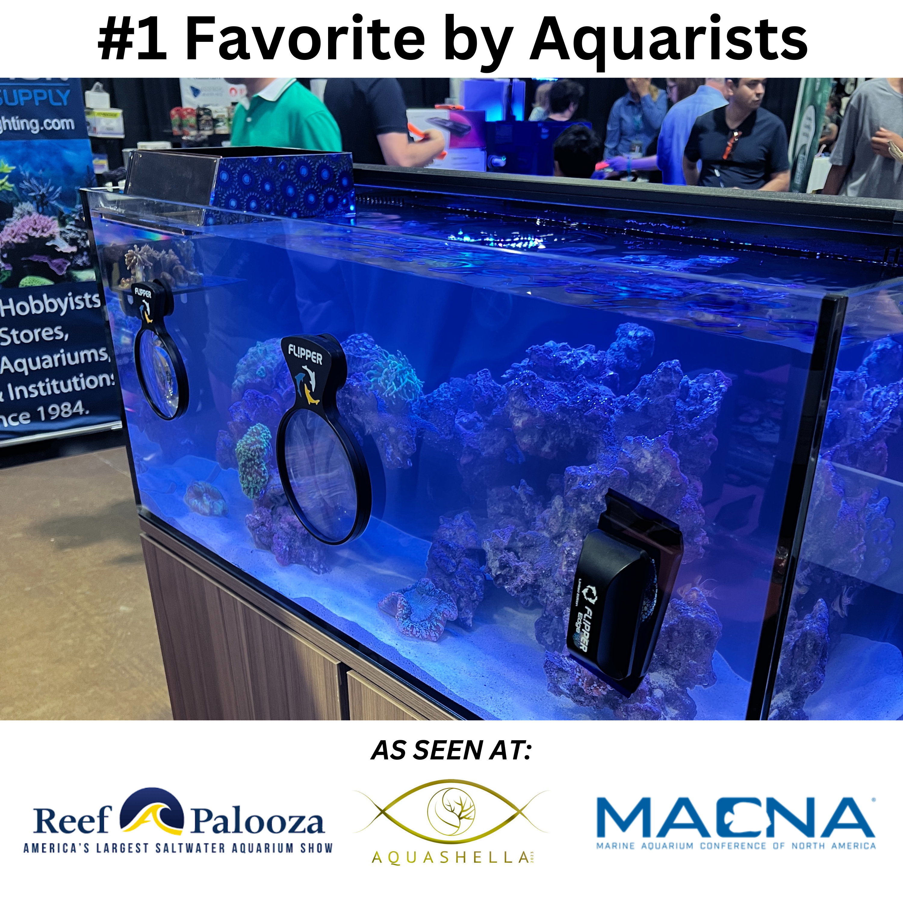 DeepSee Viewer Black 4"