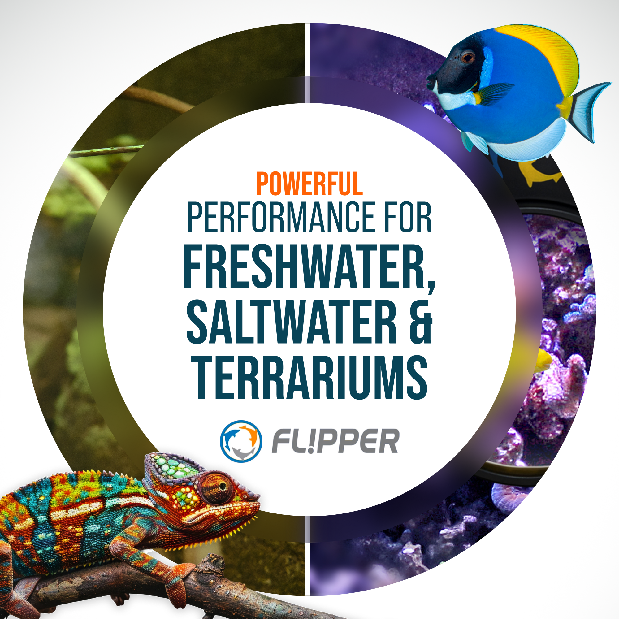 DeepSee Viewer Black Nano 3"