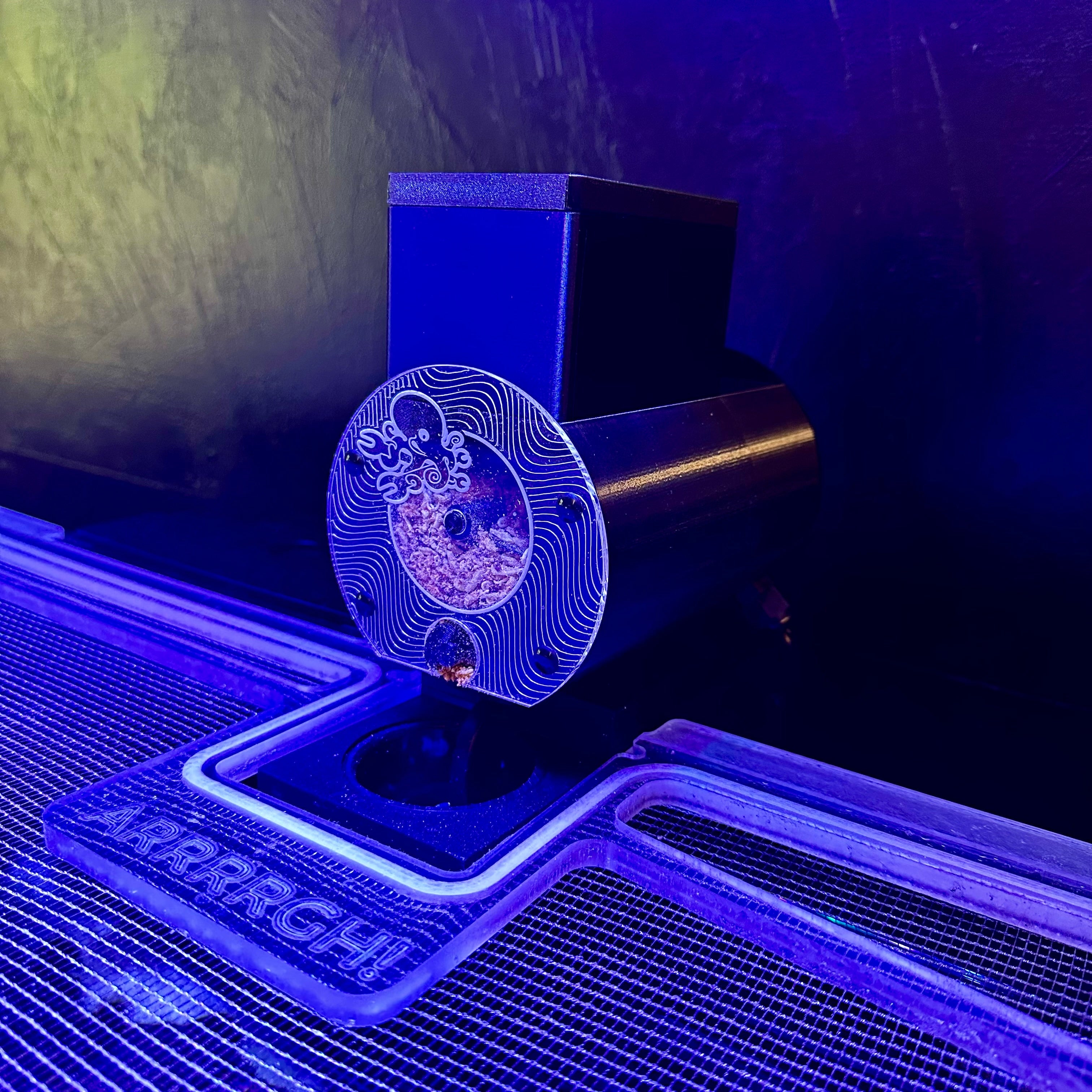 Plank Vacation Hopper