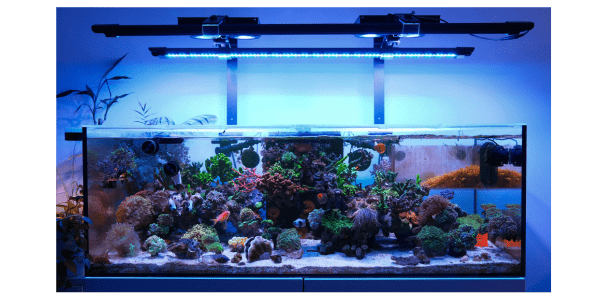 X4 Beast Mode SPS Lighting Bundle All Sizes