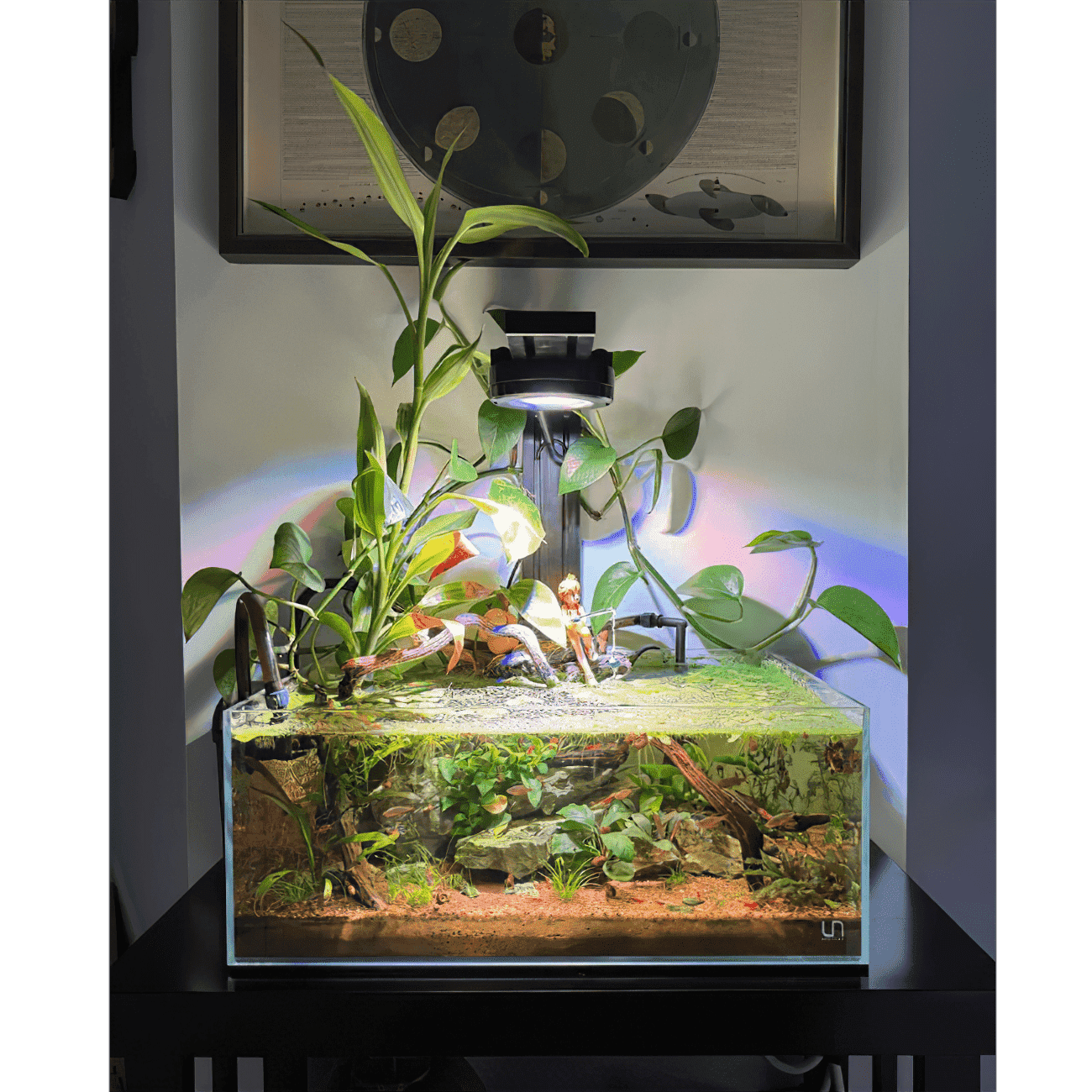 Dual Pixel LED Bundle