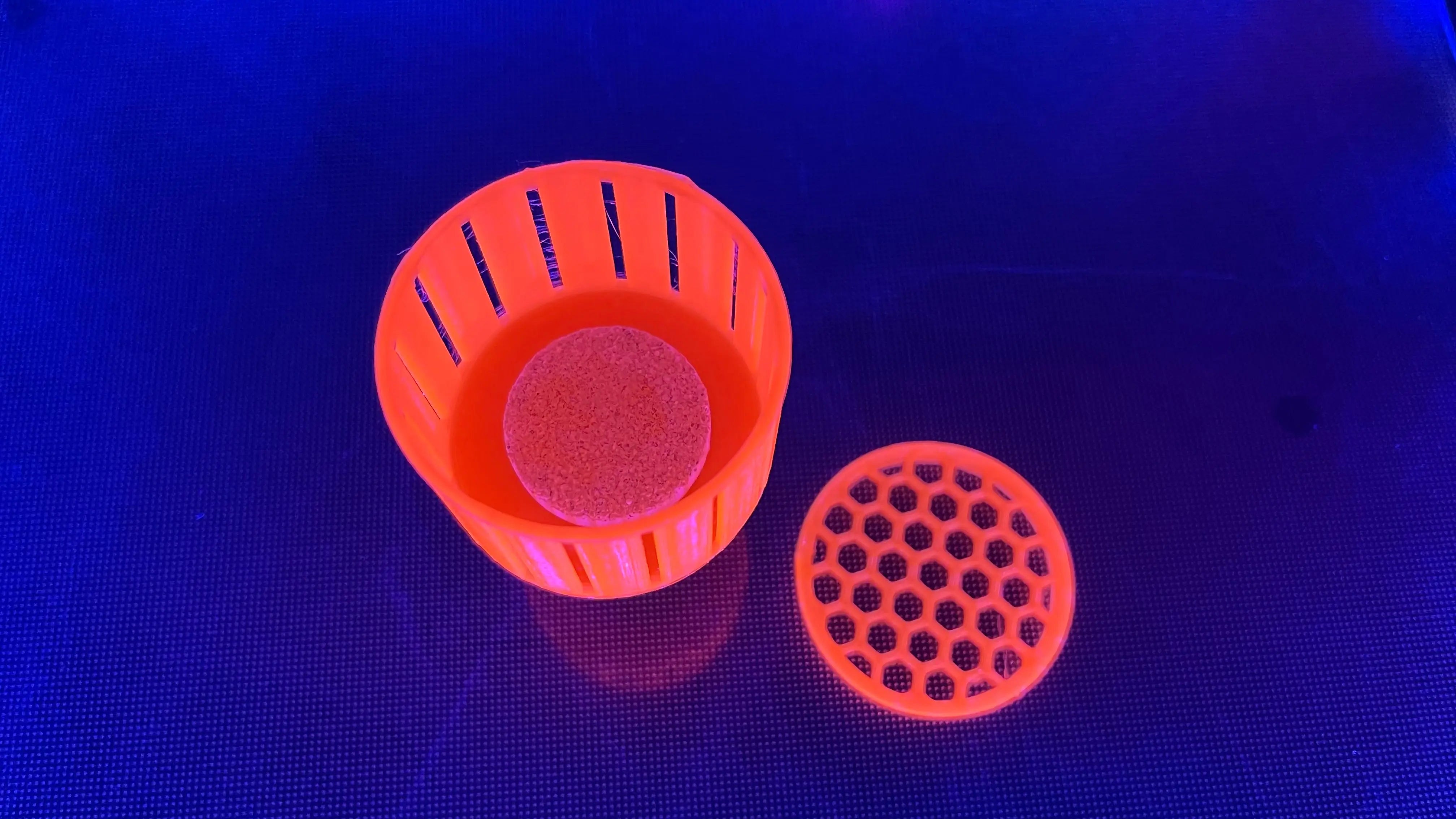 2” Mushroom Detention Center