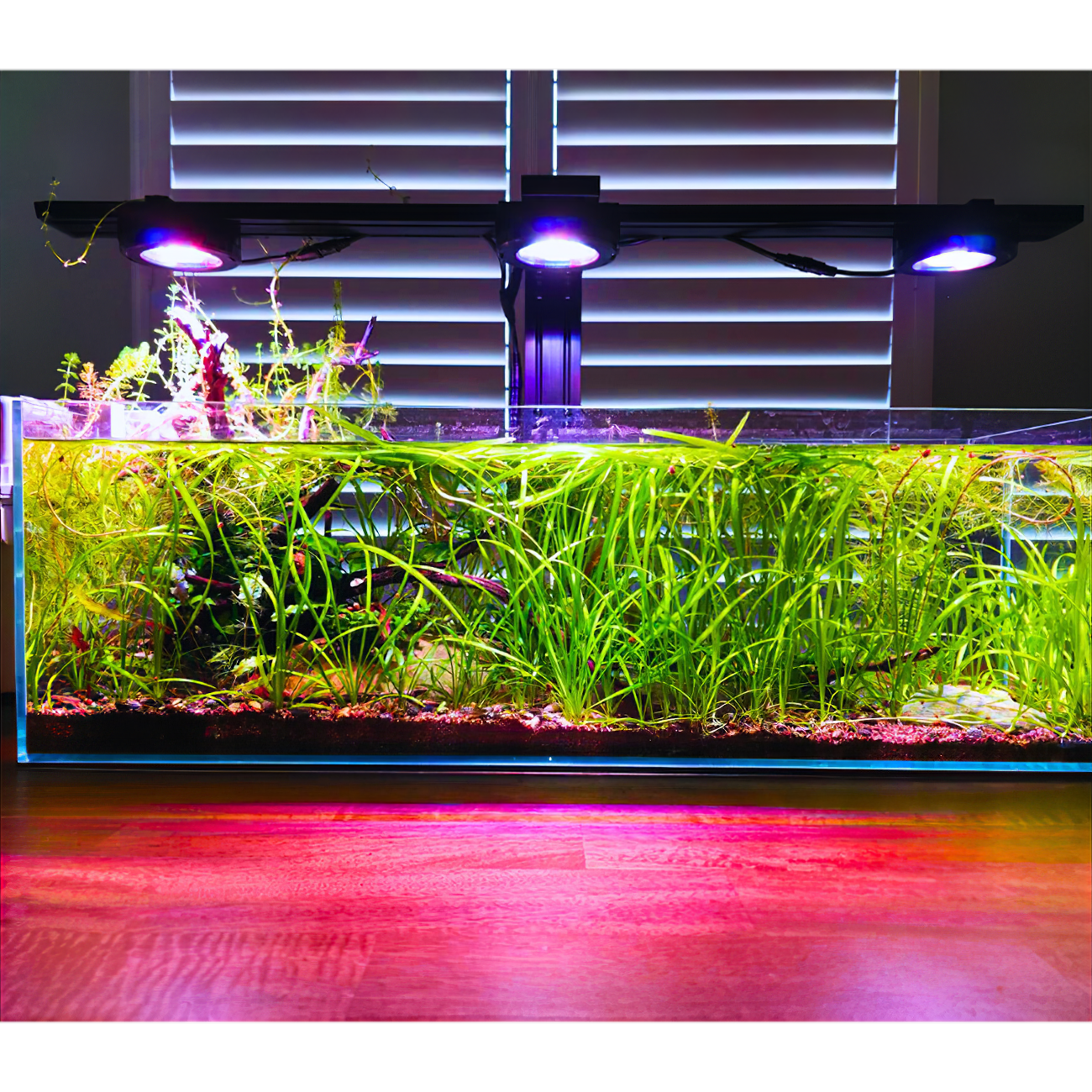 Dalua International LLC Illumagic Pixels AQUARIUM LIGHTING