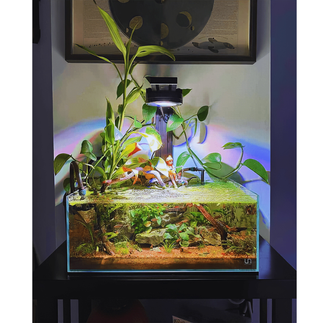 Dalua International LLC Illumagic Pixels AQUARIUM LIGHTING