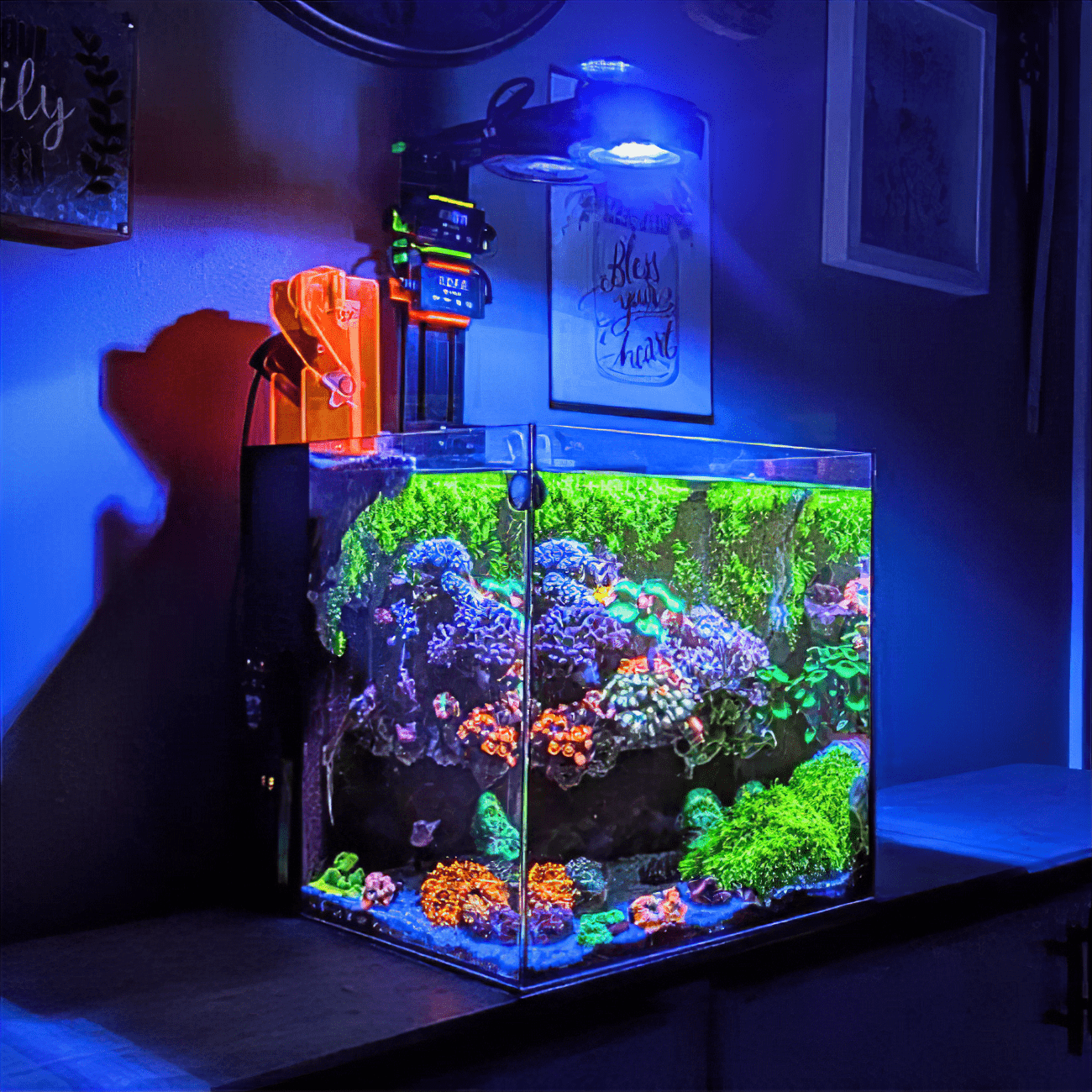 Dalua International LLC Illumagic Pixels AQUARIUM LIGHTING