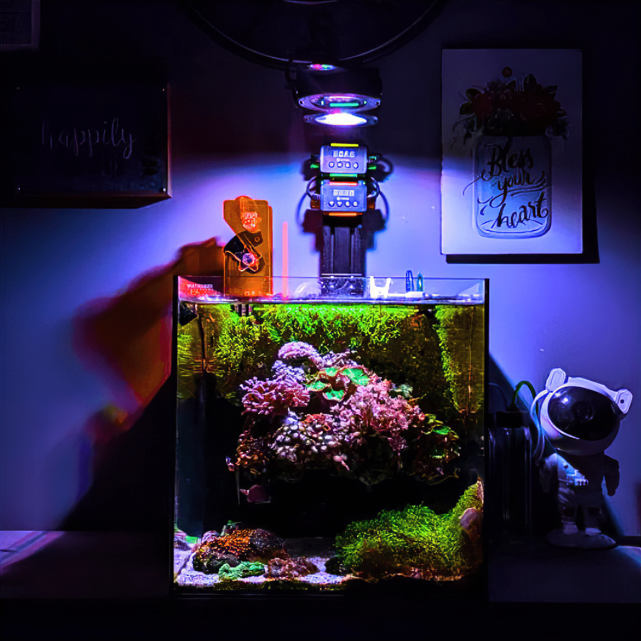 Dalua International LLC Illumagic Pixels AQUARIUM LIGHTING
