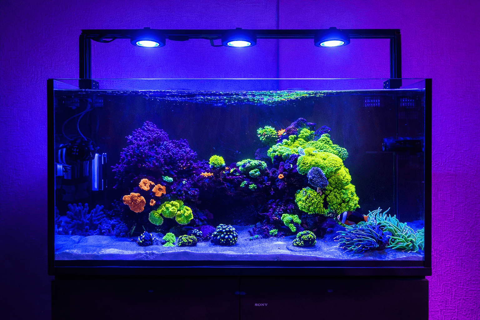 Pixel LED Bundles All Sizes